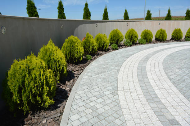 Best Local Driveway Pavers  in Albertson, NY